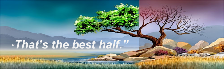 6th Sunday in Ordinary Time - 2026