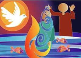 11th Sunday in Ordinary Time - 14 June 2026