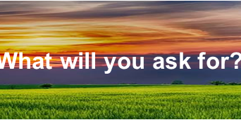 17th Sunday in Ordinary Time